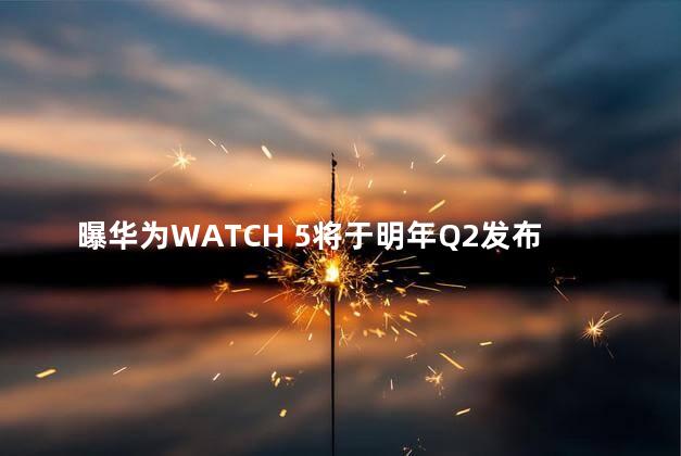 曝华为WATCH 5将于明年Q2发布